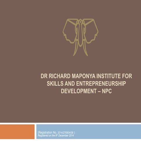 Dr Richard Maponya Institute for Skills and Entrepreneurship Development - NPC