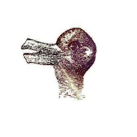 DRRM presentation.ppt