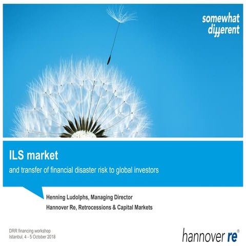 2018 DRR Financing 2.3 Henning Ludolphs