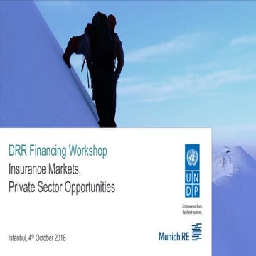 2018 DRR Financing 3.3 Natalie Kraus