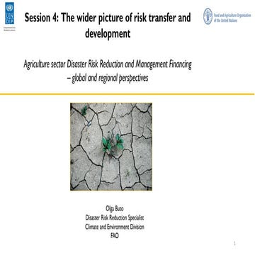 2018 DRR Financing 4.1 Olga Buto