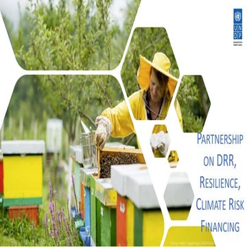 2018 DRR Financing 6.2 Ivan Zverzhanovski