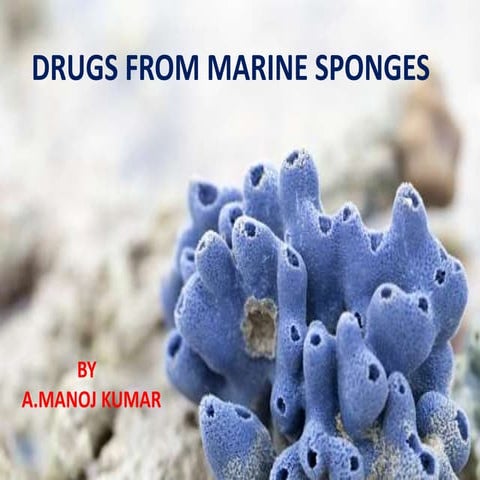 Drug from Marine Sponges/ Sponges as Pharmacy
