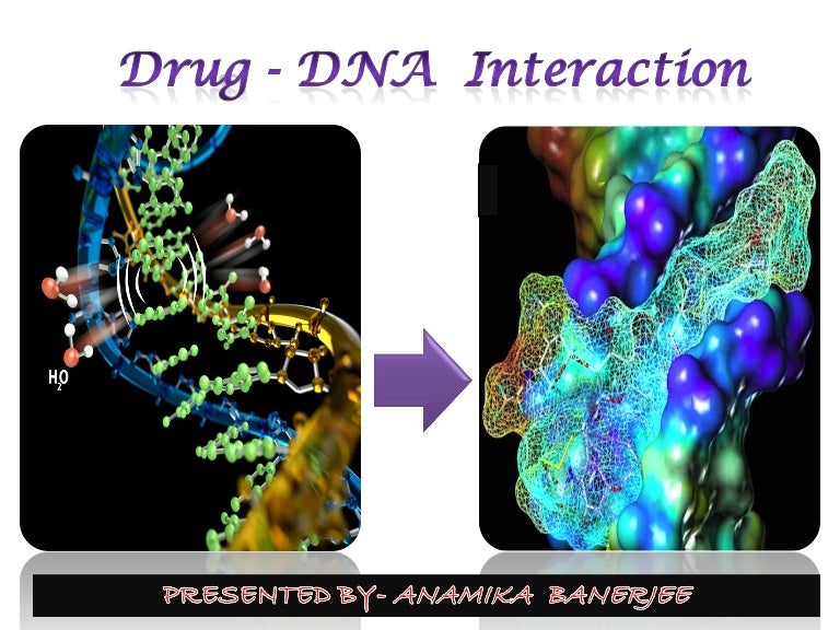 Drug dna interaction