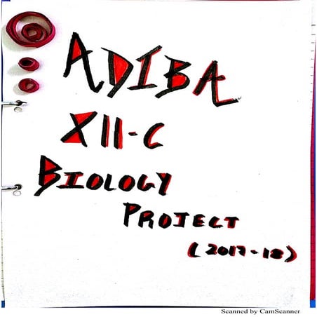 Drug Addiction Biology Investigatory Project