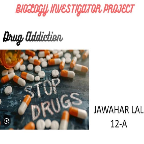 Drug_Addiction_Project_Presentation (1).pptx