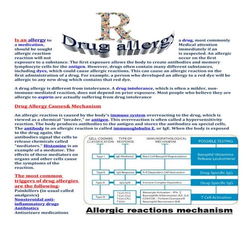 Drug Allergy Guidelines 2024 Pdf – TQDTXT