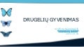 Mokyklinukams apie drugelius / Presentation about Butterflies for school children