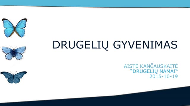 Mokyklinukams apie drugelius / Presentation about Butterflies for school children