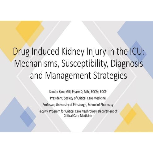 Drug Induced Kidney Injury in the ICU.pdf