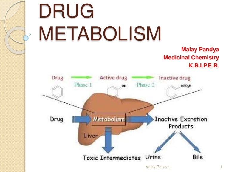 drug-metabolism