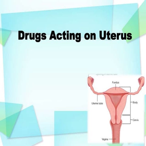 Drugs action on uterus