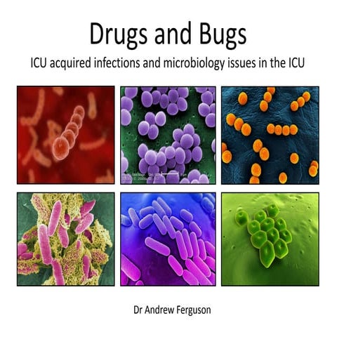 Drugs against bugs - antibiotics in the ICU