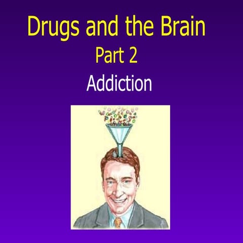 Drugsandthe Brain Part2 Addiction