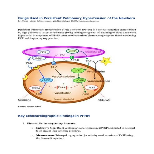 Drugs Used in Persistent Pulmonary Hypertension of the Newborn.pdf