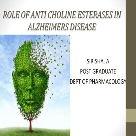 role of anti cholinesterases in alzheimers