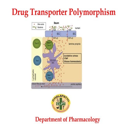 Drug transporter polymorphism