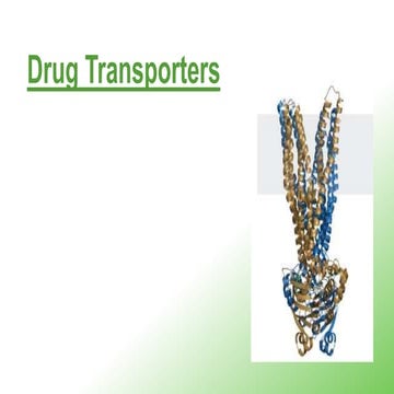 Drug transporters