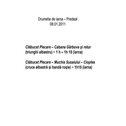 Drumetie predeal 08 01 2011