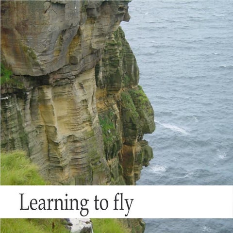 Learning to fly