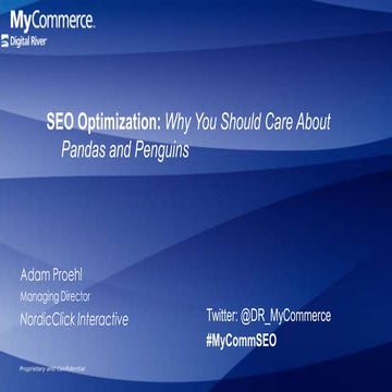 SEO Optimization: Why You Should Care About Pandas and Penguins