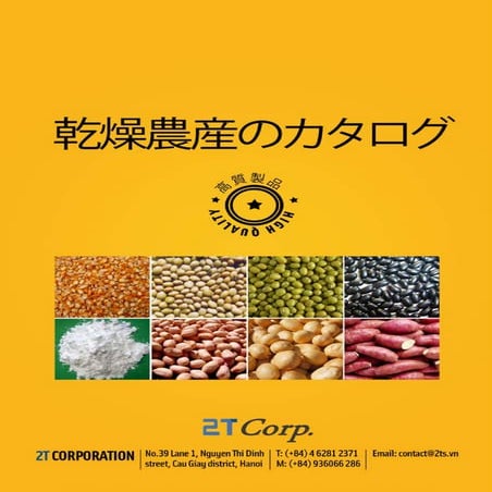 乾燥野菜　カタログ