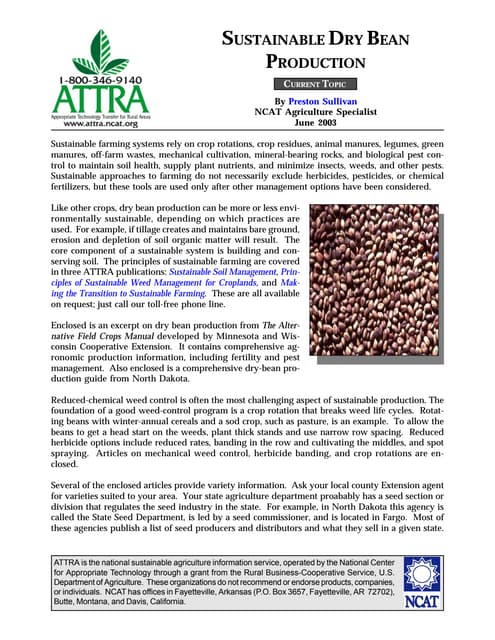 Sustainable Dry Bean Production