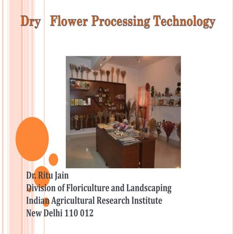 Dry flower processing technology 
