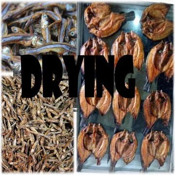 SALTING AND DRYING IN FISH PRESERVATION | PPTX