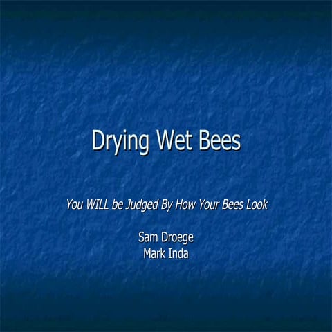 Drying Wet Bees