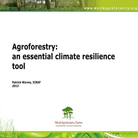 Drylands security and agroforestry