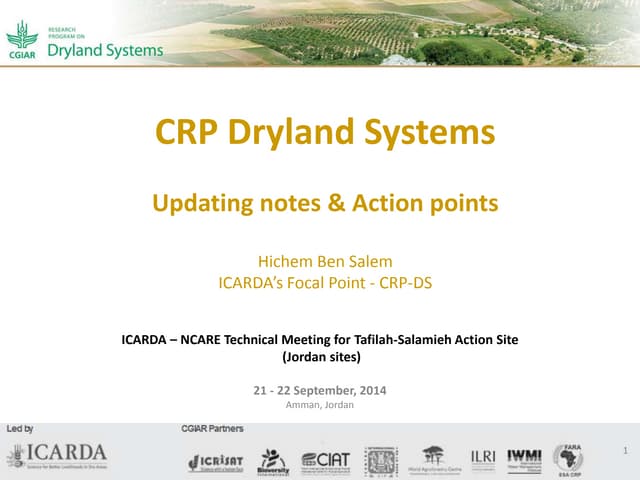 Dryland Systems Action Points