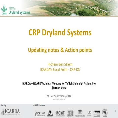 Dryland Systems Action Points