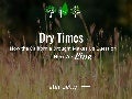 Dry Times: How the California Drought Makes Us Question How We Live