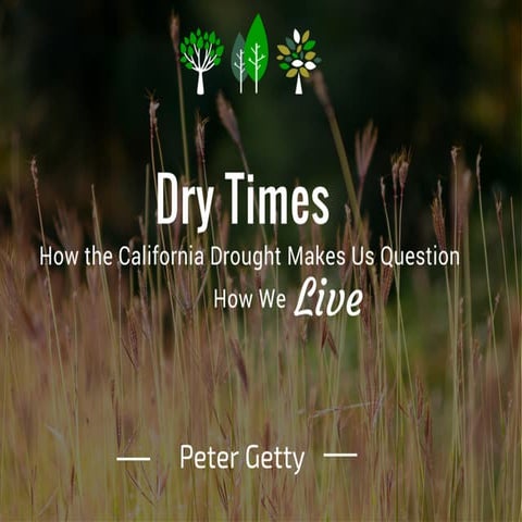 Dry Times: How the California Drought Makes Us Question How We Live