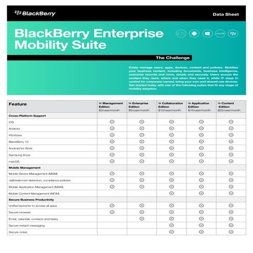 BlackBerry Enterprise Mobility Suite: Features