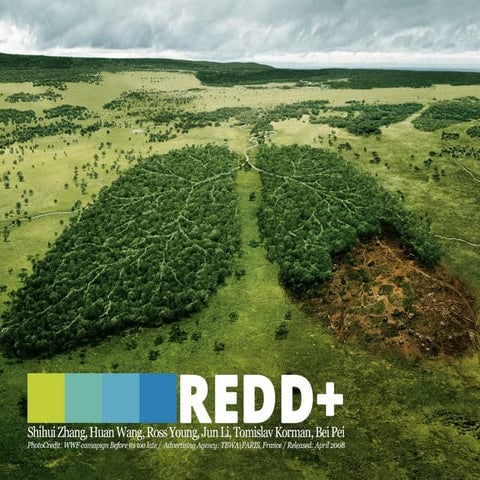 REDD+ (Transforming Development for Sustainability)