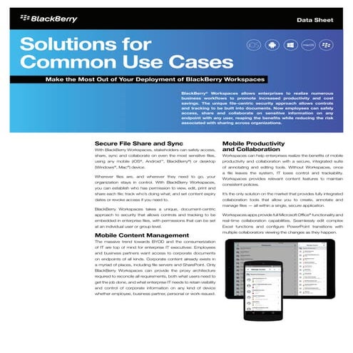 Make the Most Out of Your Deployment of BlackBerry Workspaces: Solutions for ...