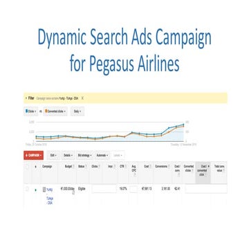 Dynamic Search Ads Case
