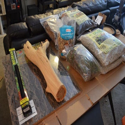 Dart Frog Terrarium Build