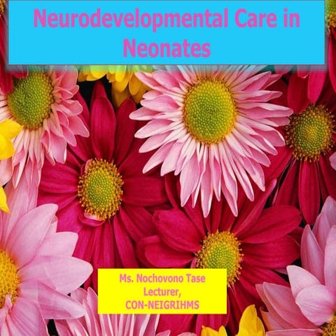 Occupational Therapy Practice in the Neonatal Intensive Care Unit | PPTX