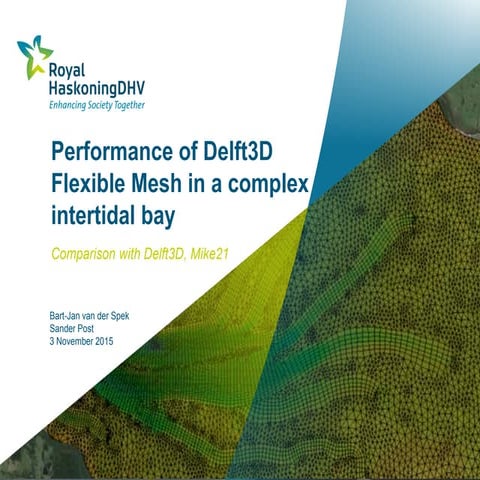 DSD-INT 2015 - Performance of Delft3D Flexible Mesh in a complex intertidal bay