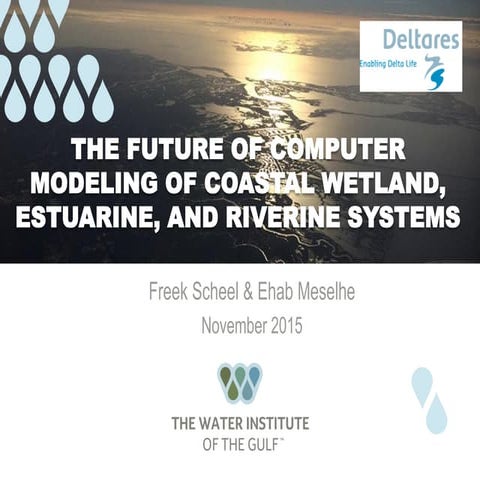 DSD-INT 2015 - The future of computer modeling of coastal wetland, estuarine,...