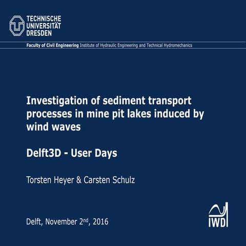 DSD-INT 2016 Investigation of sediment transport processes in mine pit lakes ...