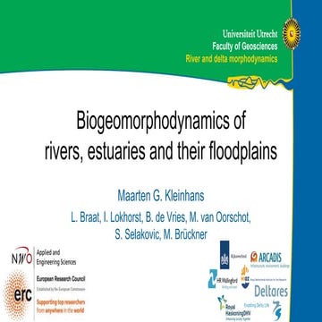 DSD-INT 2017 Biogeomorphodynamics of rivers, estuaries and their floodplains ...