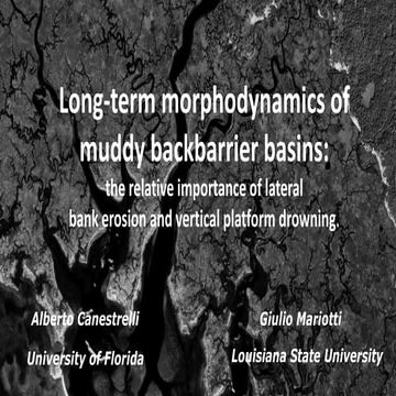 DSD-INT 2017 Long-term morphodynamics of muddy backbarrier basins - Canestrelli