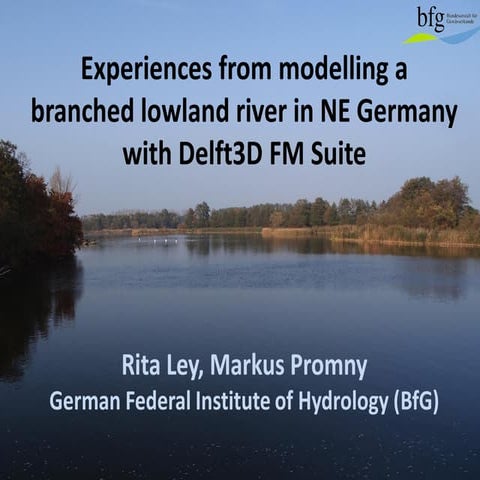 DSD-INT 2018 Experiences from modelling a branched lowland river in NE German...