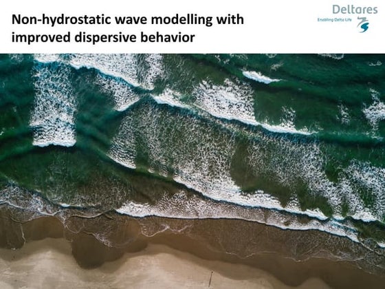 DSD-INT 2018 Validation test of a solitary wave over an erodible sloped ...