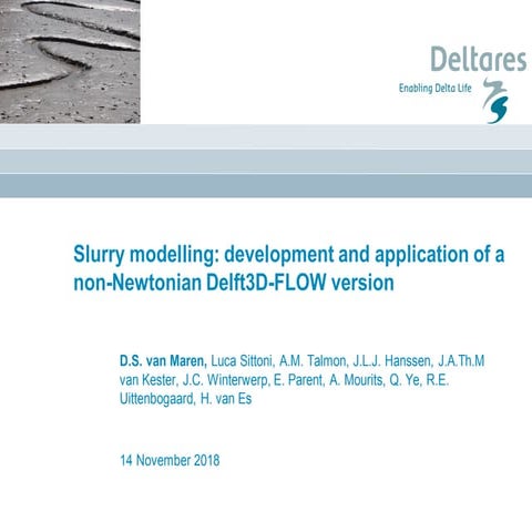 DSD-INT 2018 Slurry modelling: development and application of a non-Newtonian...
