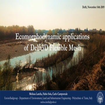 DSD-INT 2019 Ecomorphodynamic applications of Delft3D Flexible Mesh - Latella